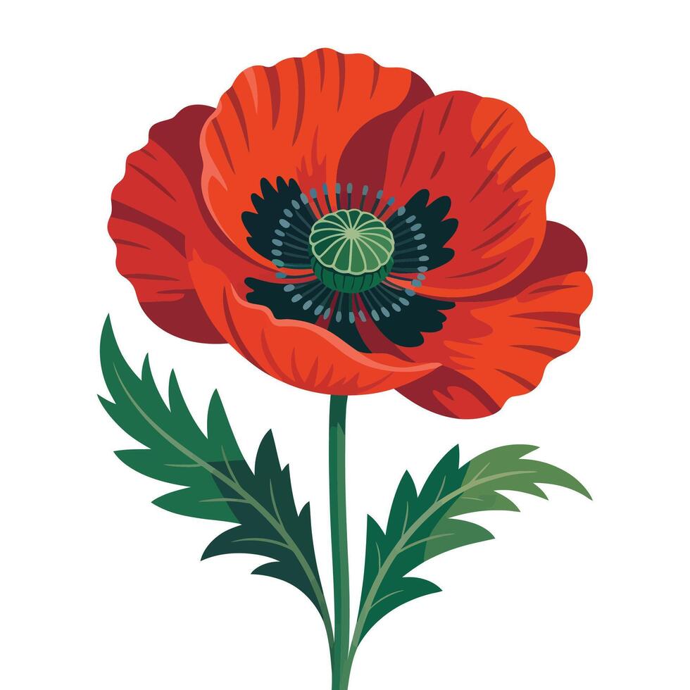 Bold Red Poppy Illustration. vector