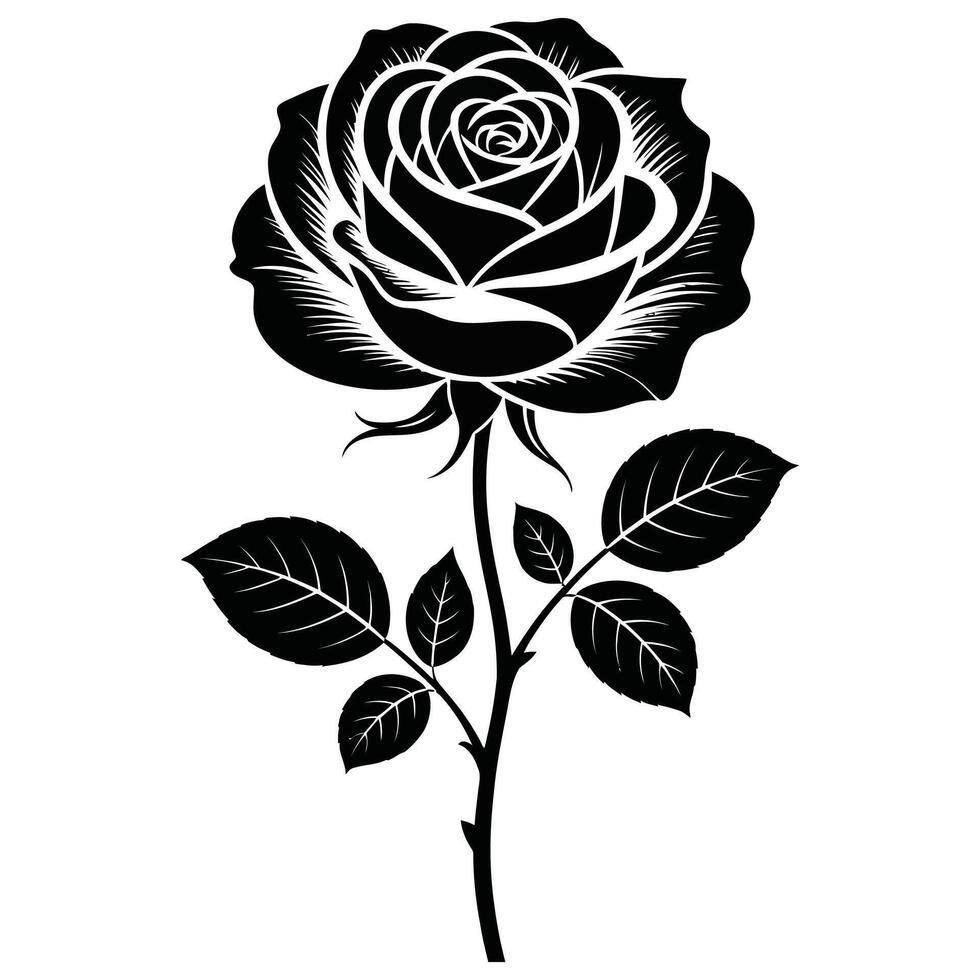 Elegant Black Rose on White Background. vector
