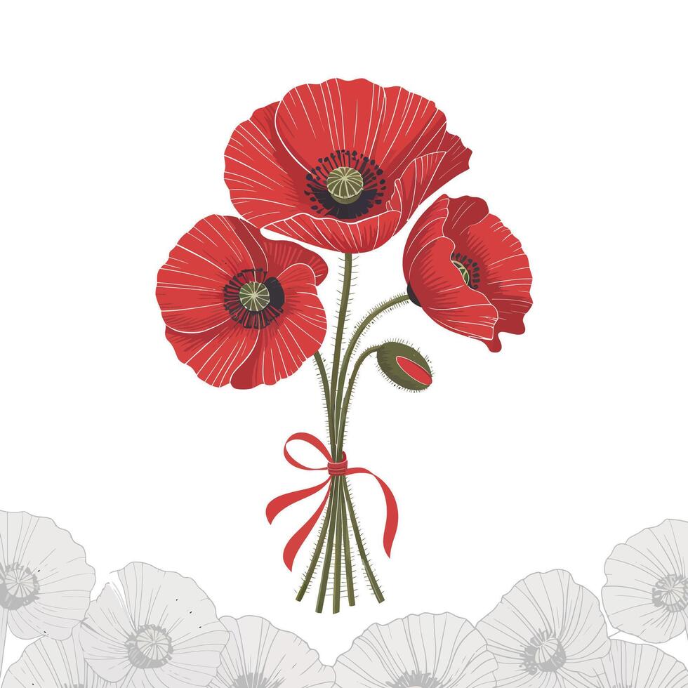 Poppy flowers on white background with red ribbon vector