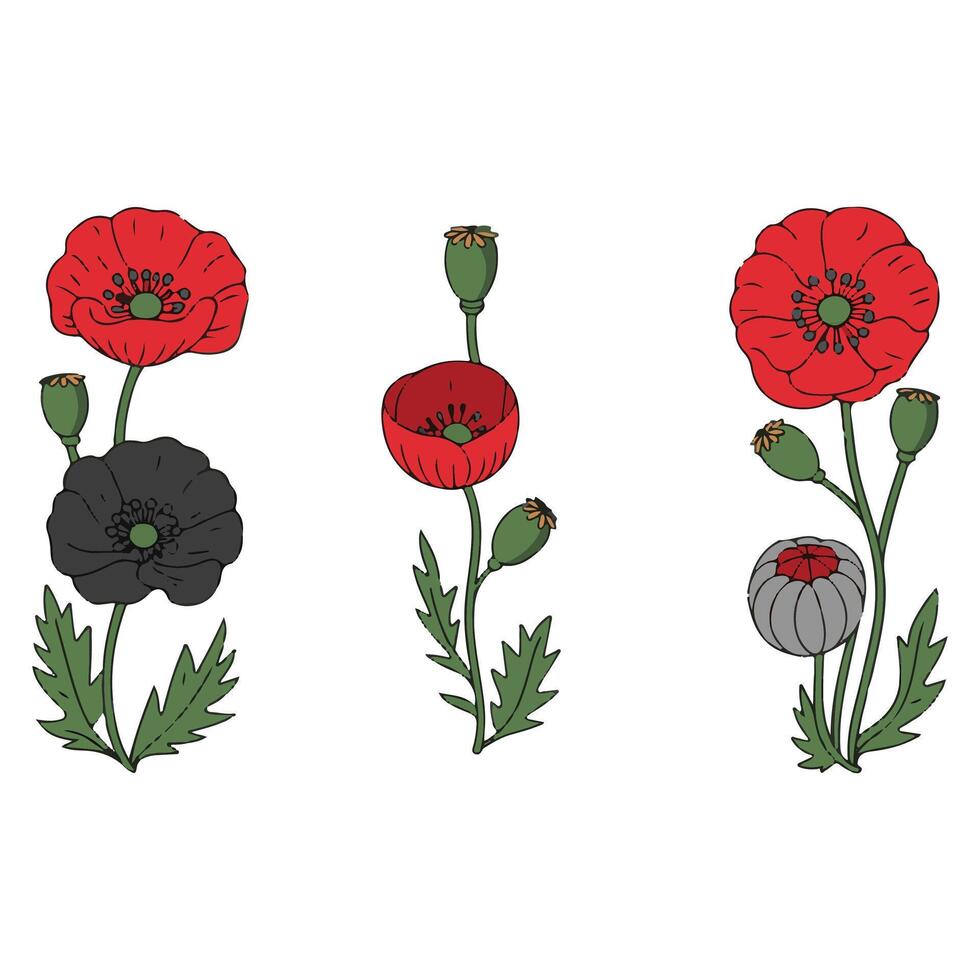 Flat Poppy Clipart Set. vector