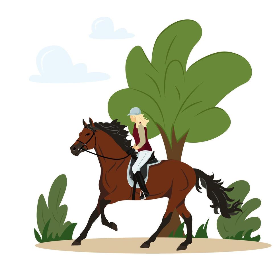 Girl rides a horse in the park. Jockey on horse. Horse riding. Equestrian Sport. Isolated Illustration vector