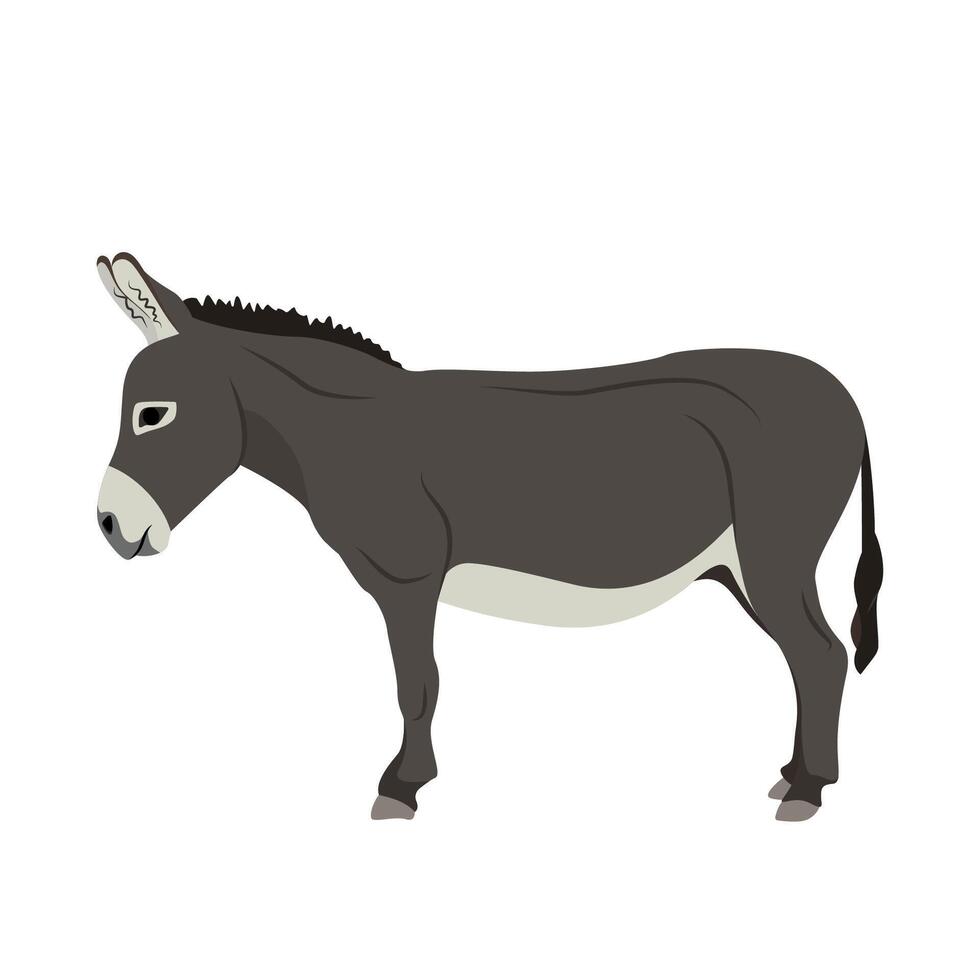 Cute donkey. Country pet. Isolated character on a white background. illustration in a flat style. vector