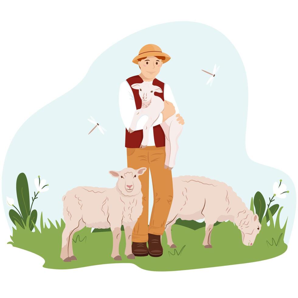 A young man or boy farmer holds a young lamb in his arms. The guy takes care of the sheeps. A farmer stands on a green lawn with lambs. illustration domestic animal in flat style vector