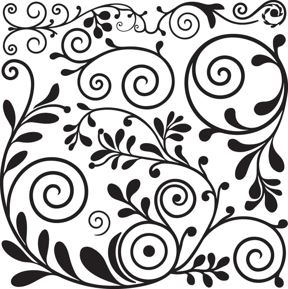 Elegant floral ornaments and scrolls isolated on white background in black and white vector