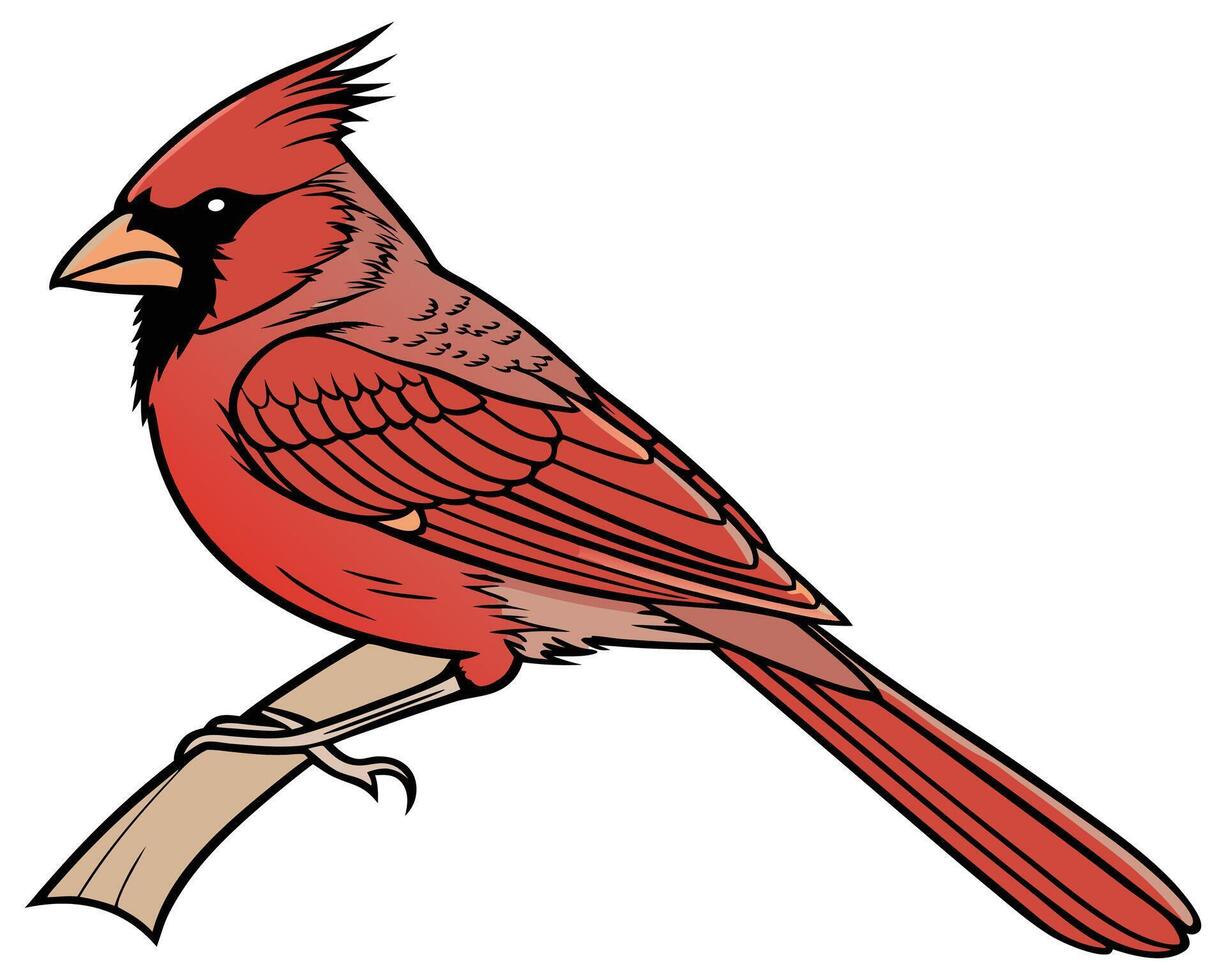 Northern cardinal bird silhouette illustration vector