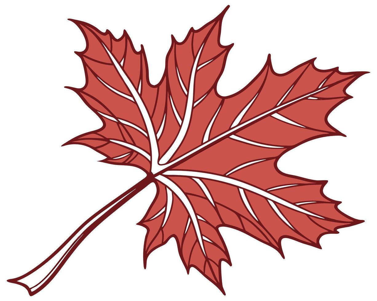 Red maple leaf silhouette illustration vector