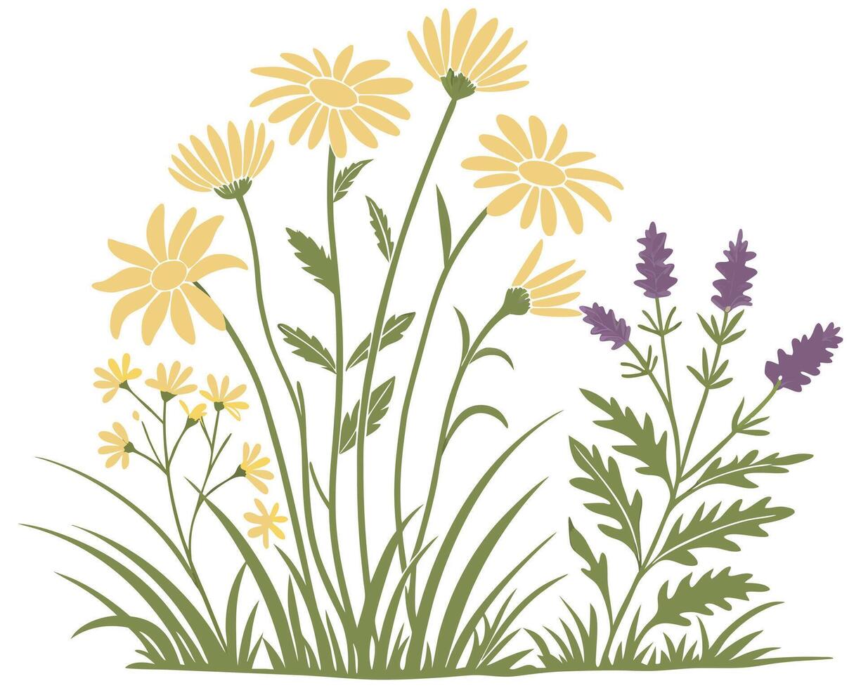 Floral meadow silhouette with daisies and lavender vector