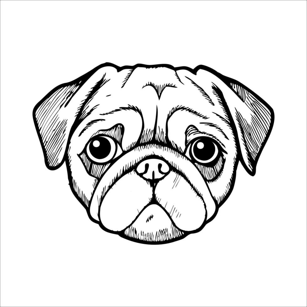 A detailed illustration of a pug's face. The dog has a wrinkled forehead, large round eyes, and a short snout. Its ears are floppy and the expression is curious. vector