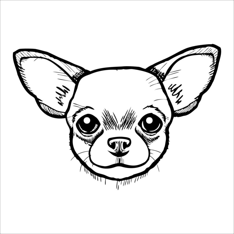 Illustration of a Chihuahua dog head. The drawing features large, expressive eyes and prominent ears. The style is simple and monochrome, emphasizing the dog's facial features. vector