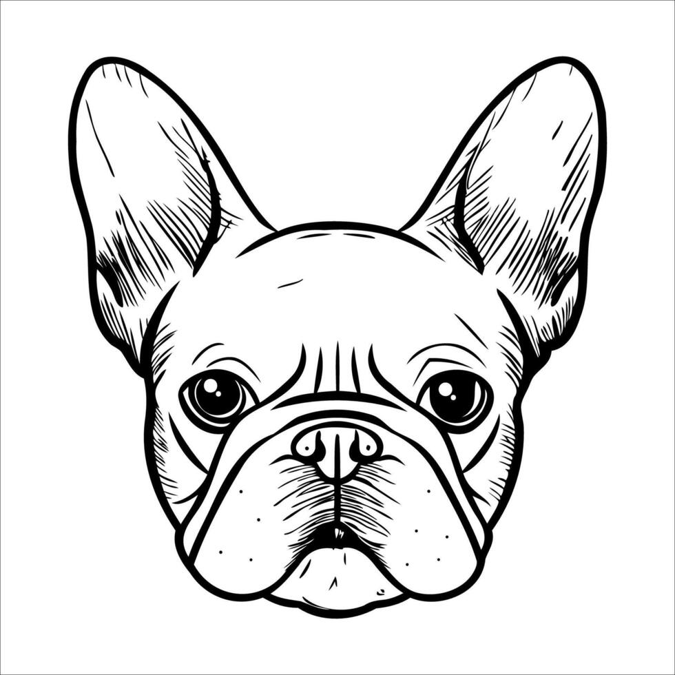A detailed illustration of a French Bulldogs face. The dog has a short snout, large ears, and expressive eyes. The style is line art with clear outlines. vector