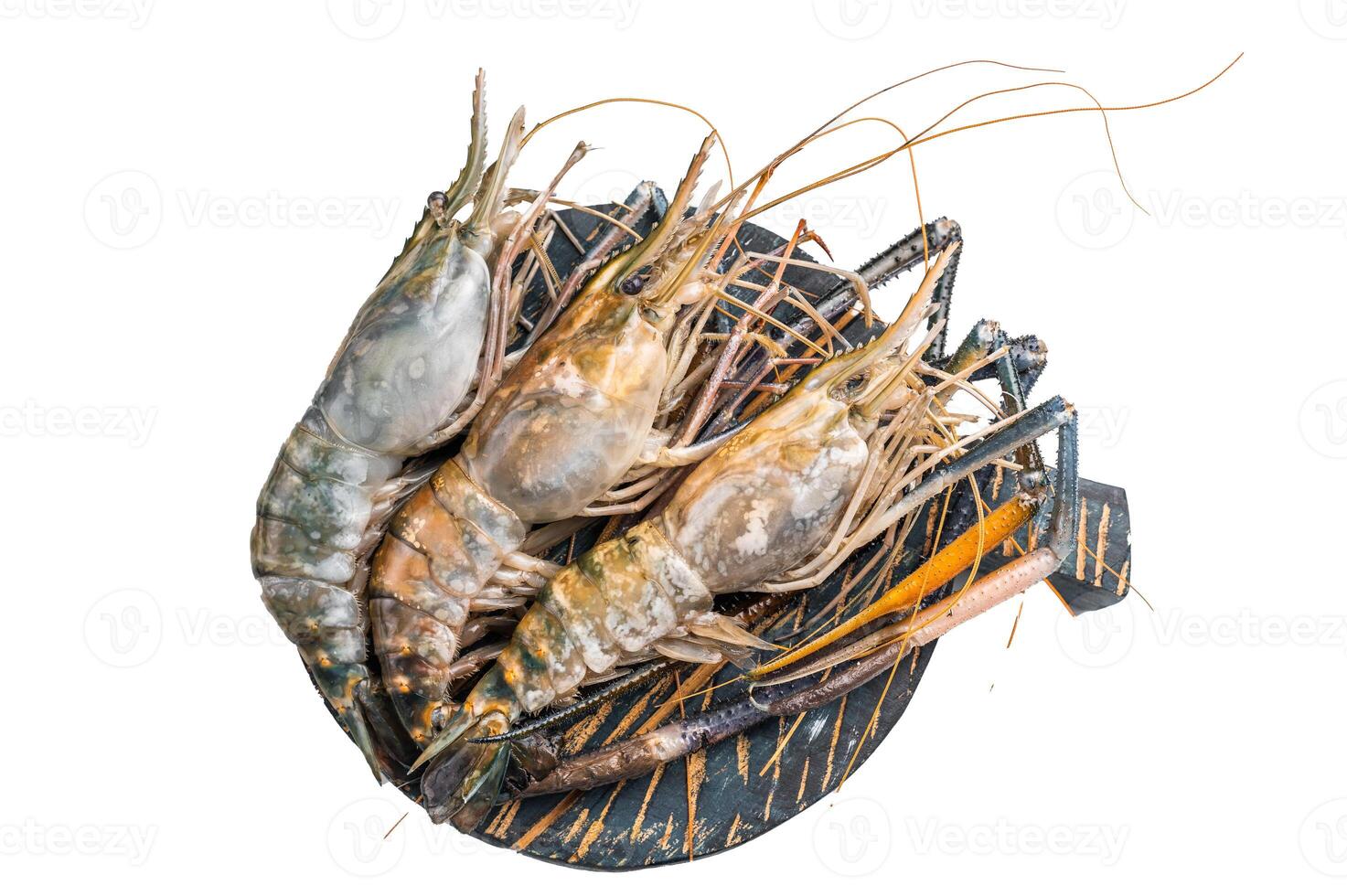 Uncooked rosenbergii fresh water shrimp ready for preparation, perfect for chefs looking to create exquisite seafood dishes. isolated on white background. top view photo