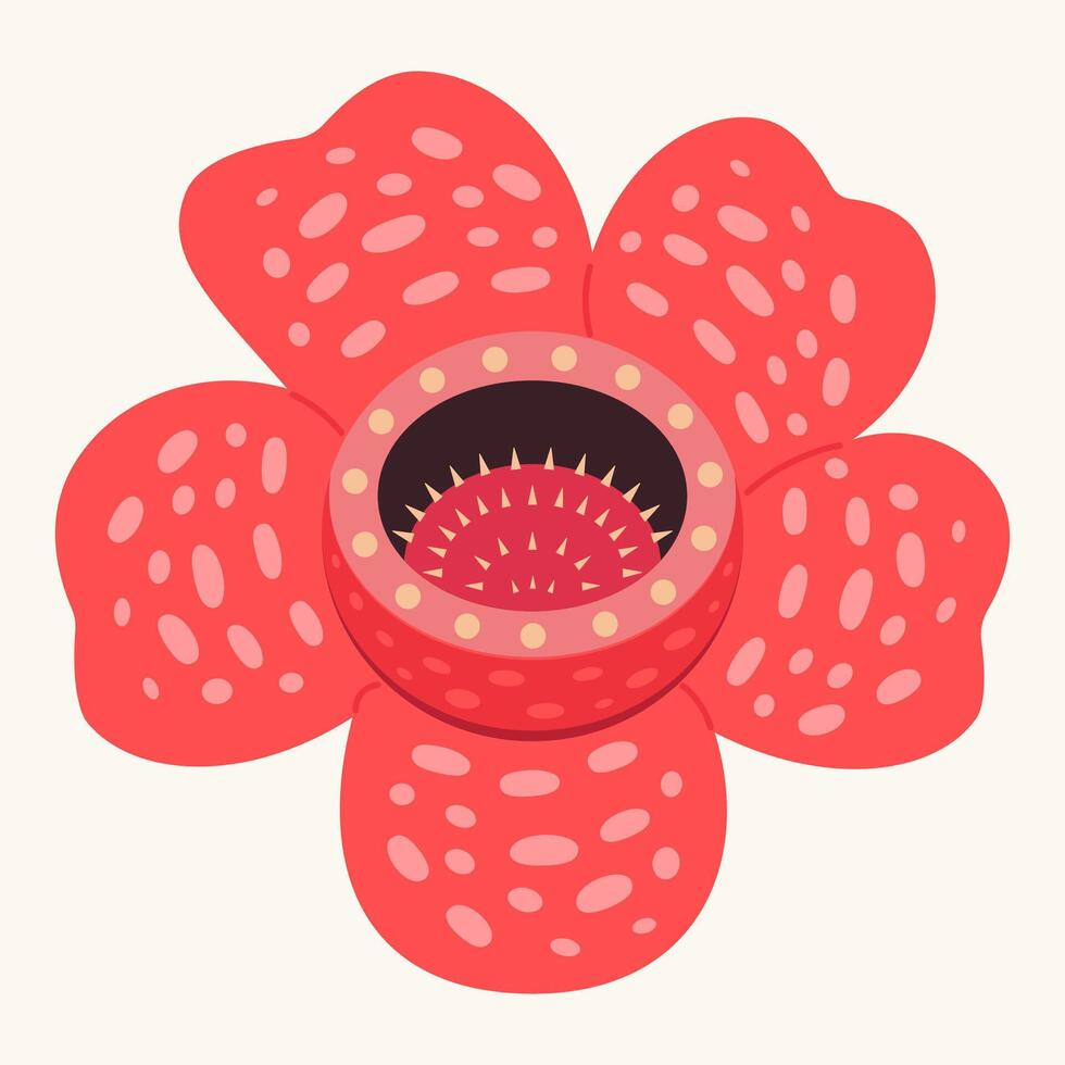 Vibrant illustration of a Rafflesia arnoldii, the world's largest flower, also known as the corpse lily. Features its iconic red petals with light spots and unique central disc. vector