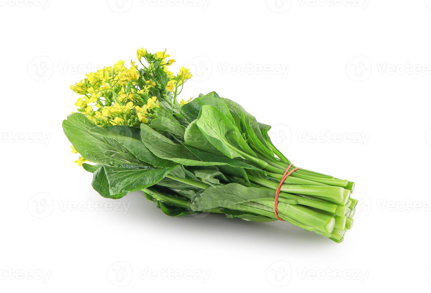 Choy sum, a kind of chinese vegetable in isolated background with clipping path, Freshly Harvested Bunch of Vibrant Green Choy Sum Tied with Twine, Caisim, Chinese flowering cabbage, Bok Choy. photo
