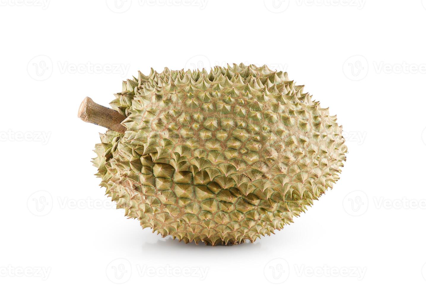 Ripe Durian fruit isolated on white background with Clipping path. photo