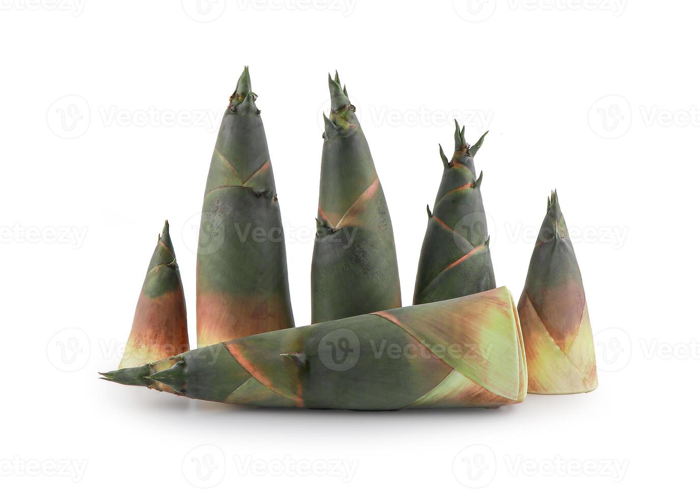Raw bamboo shoot on white background with clipping path, Fresh Green Bamboo Shoot., photo