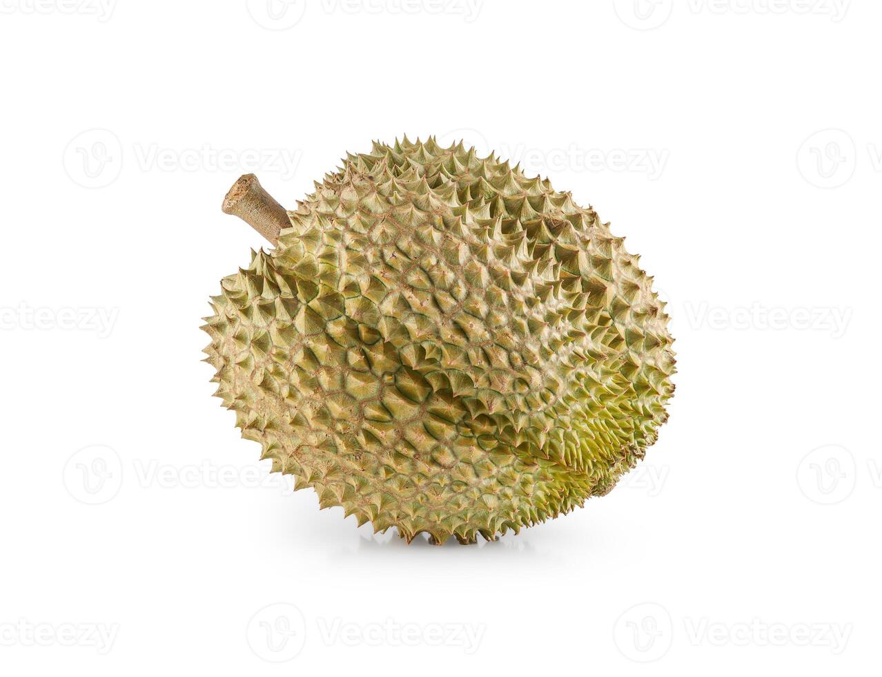 Ripe Durian fruit isolated on white background. Clipping path photo