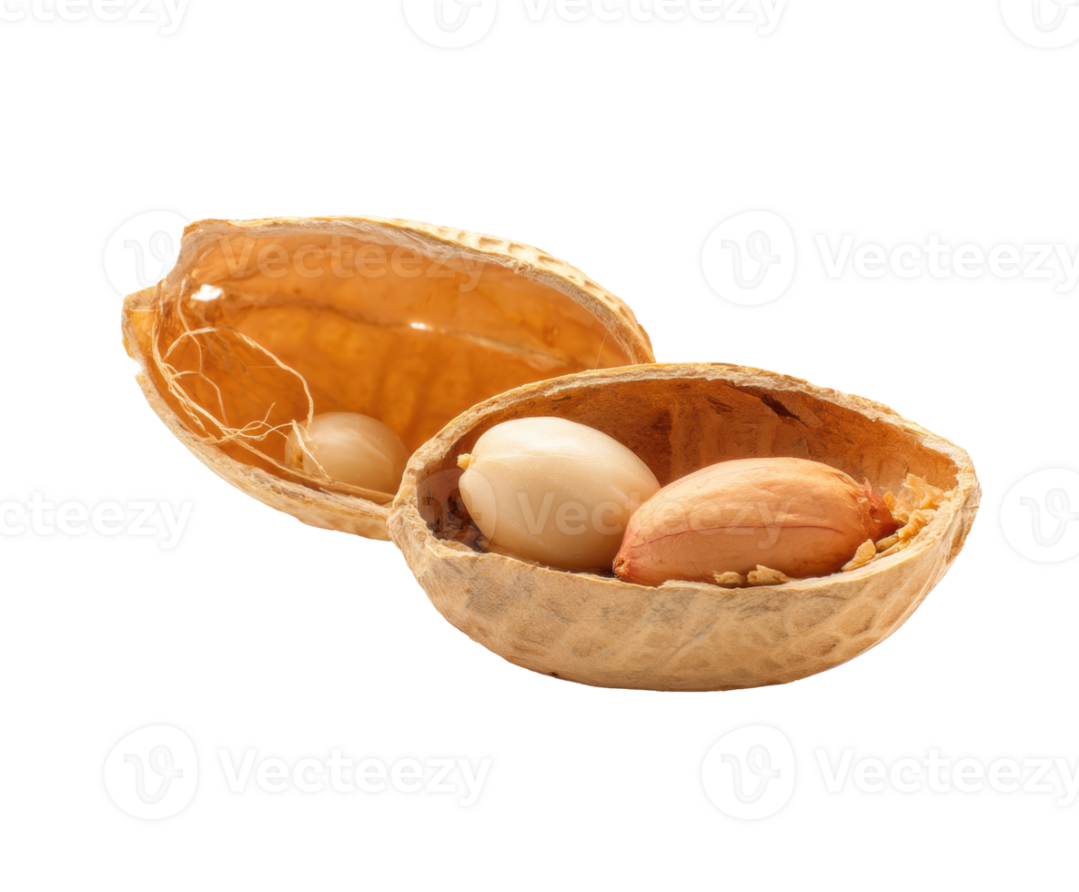Natural nuts in split shell for healthy snacks and cooking ideas png