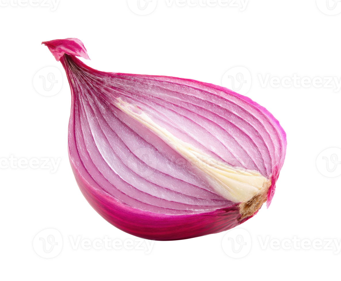 Sliced red onion for healthy cooking and fresh dishes png