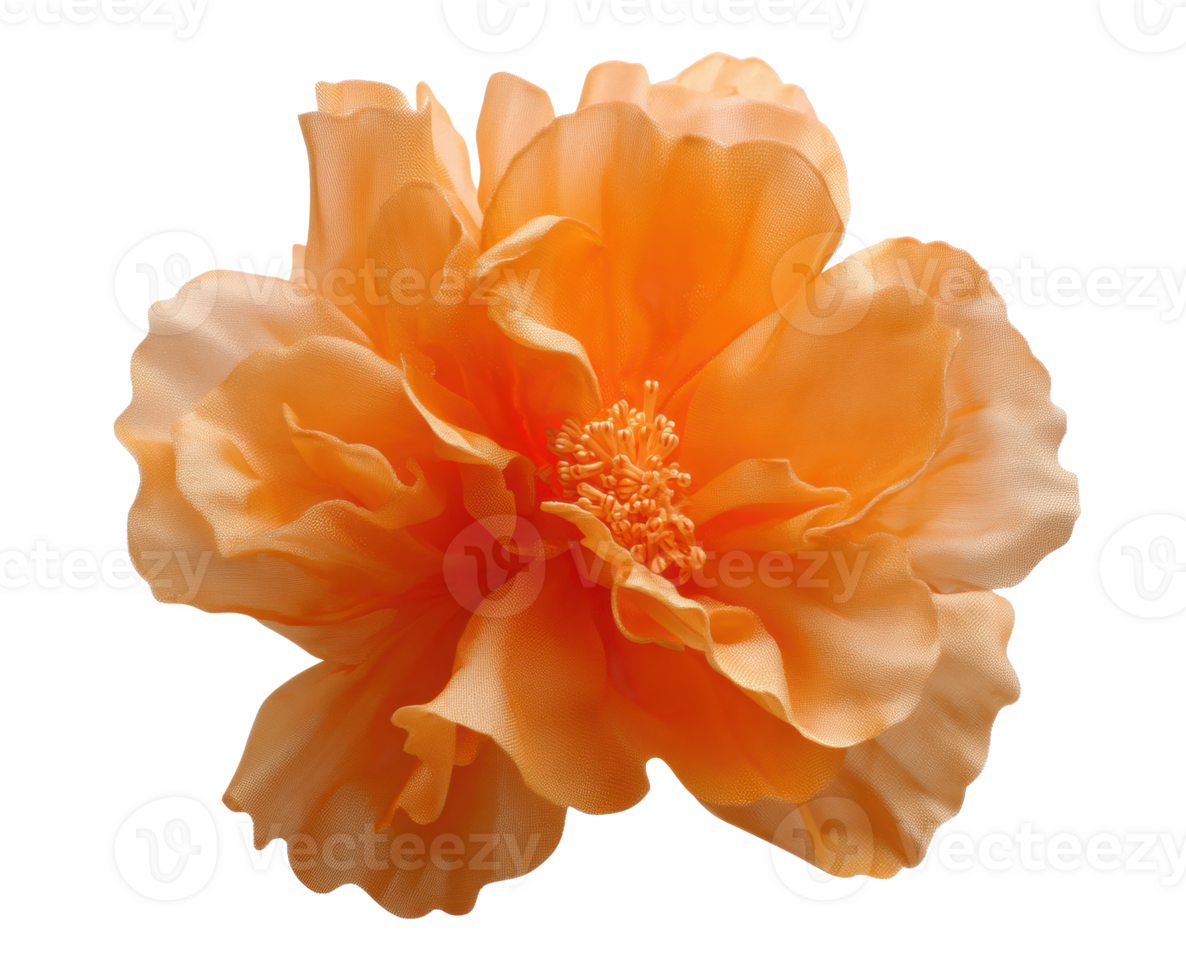 Orange flower bloom for home decor and craft projects png