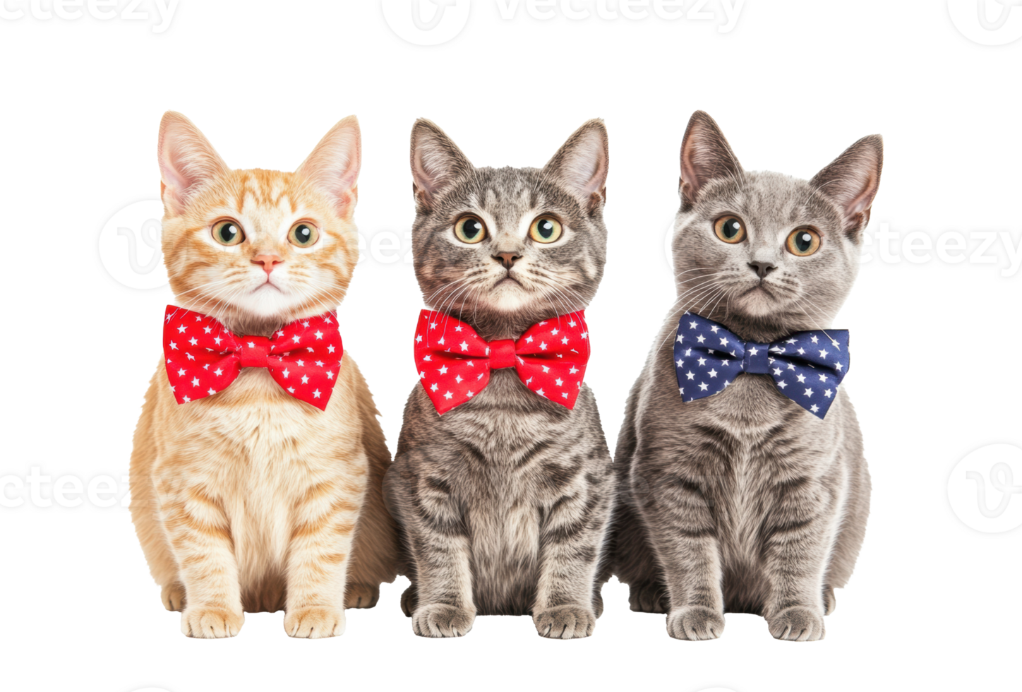 Cats in bow ties for playful Independence Day celebration png