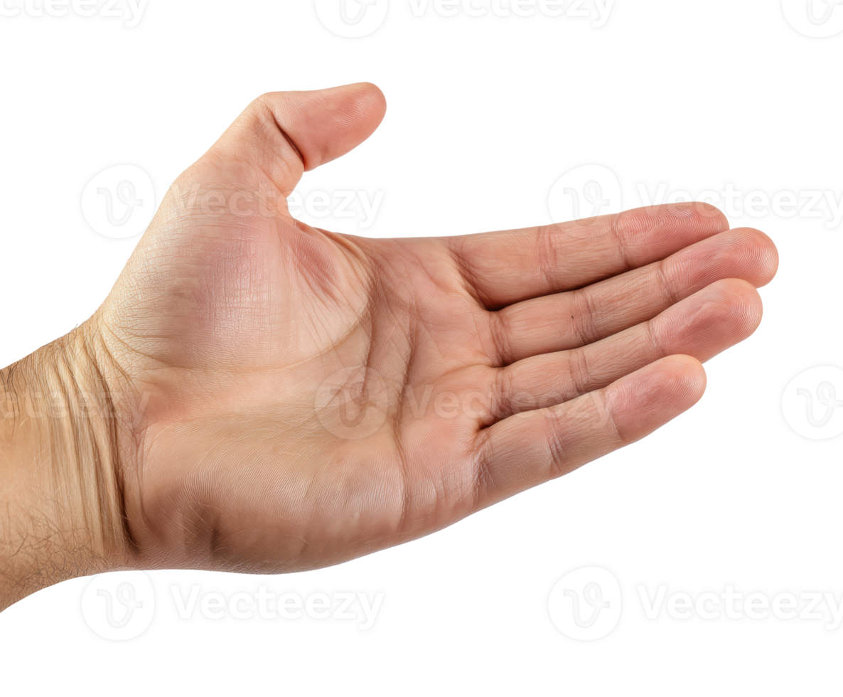 Open hand gesture for welcoming or offering assistance png