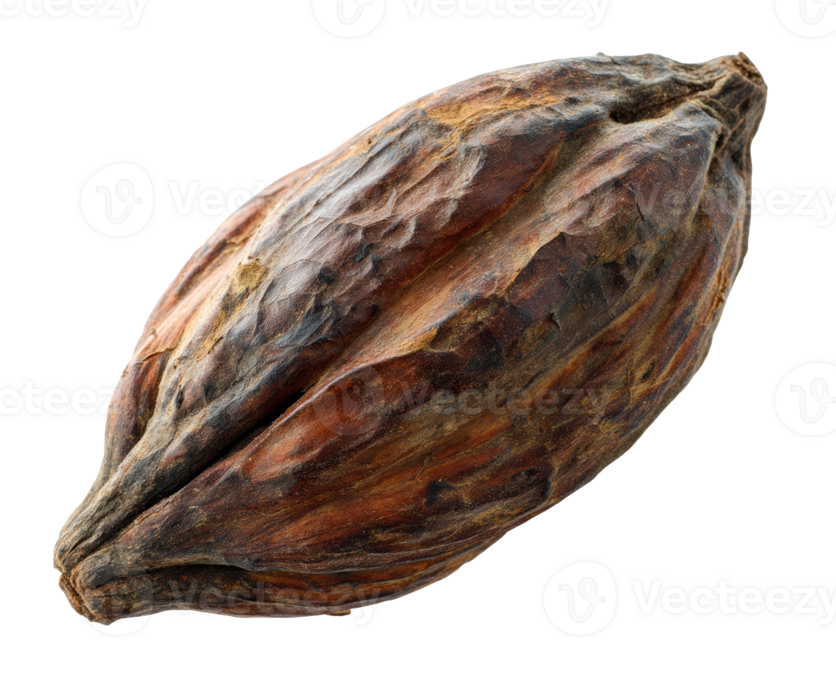Cacao pod showing texture and natural colors for culinary use png