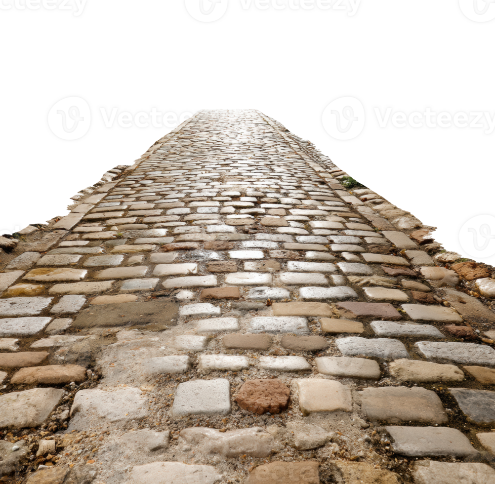 Unique cobblestone path stretching into the distance png