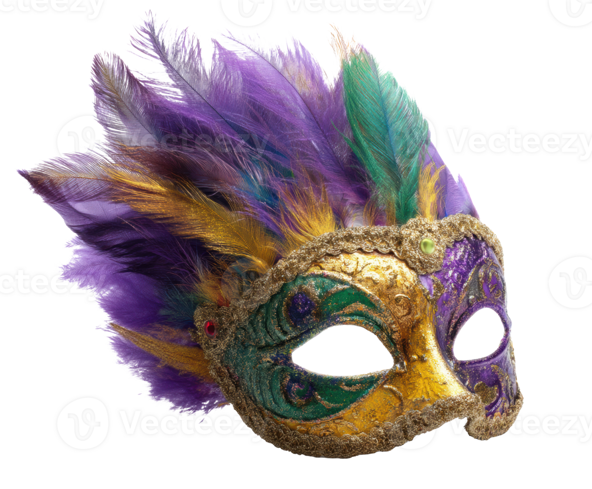 Colorful carnival mask with feathers perfect for festive celebrations png