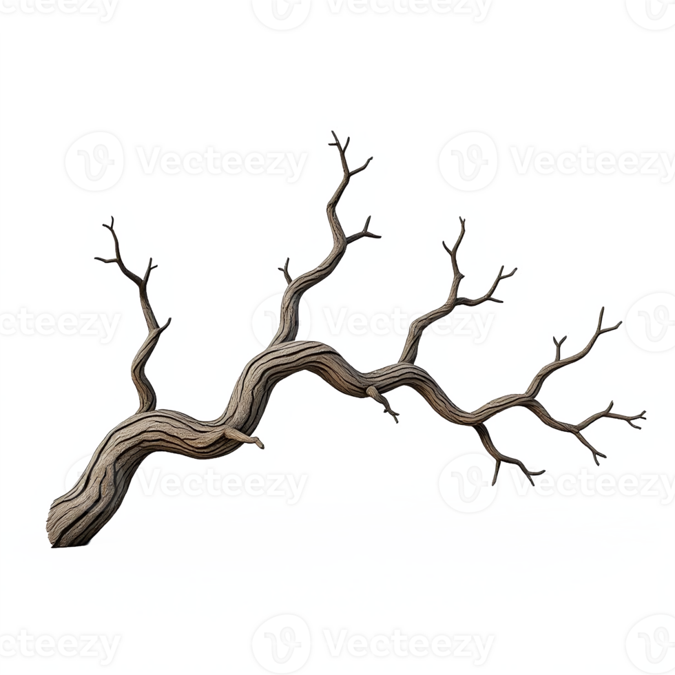Dry leafless tree branch with multiple twigs isolated on transparent background for nature and autumn themes png
