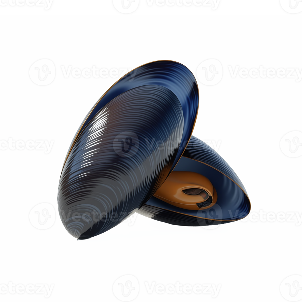 Illustration of Open Mussel Shell with Interior and Clipping Path png
