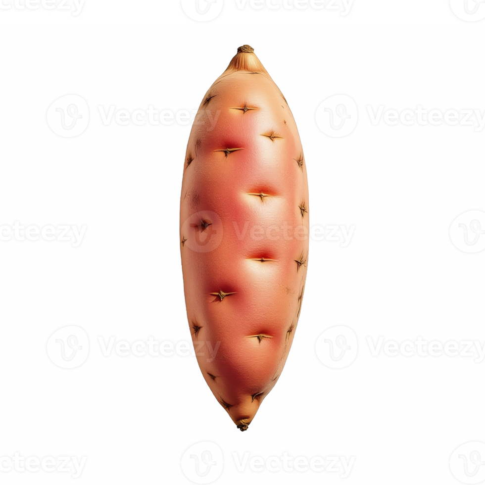 Detailed close-up of a pink prickly pear cactus fruit with spines and textured skin on transparent background png