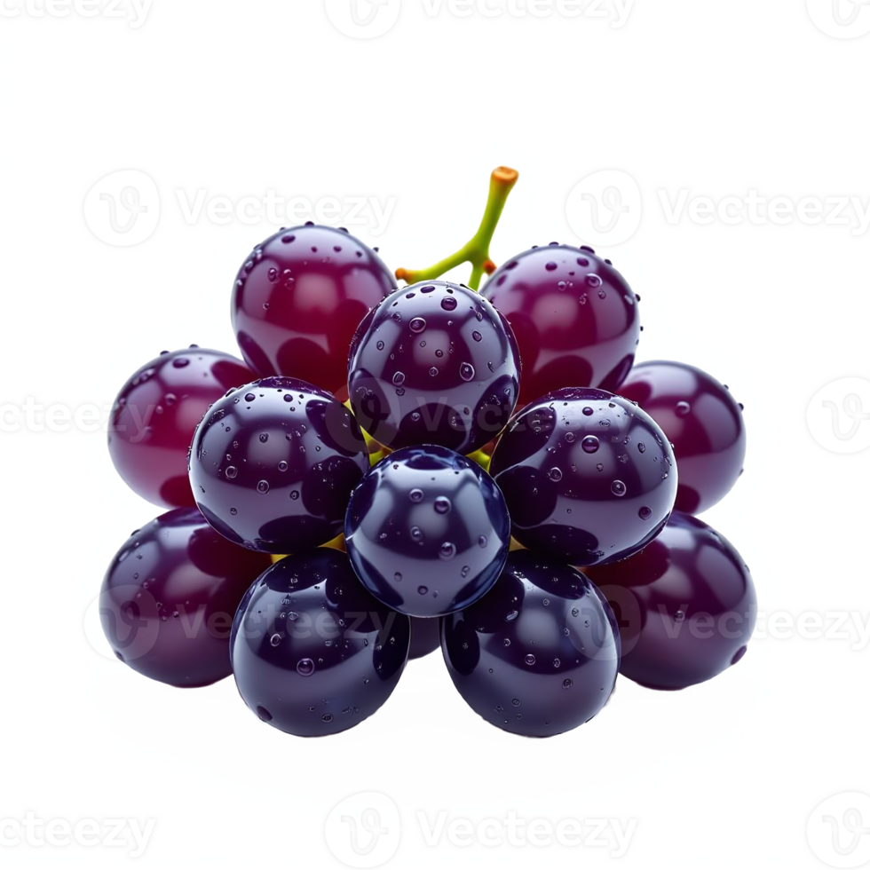 Black Grapes Cluster Illustration with Water Droplets on Transparent Background png