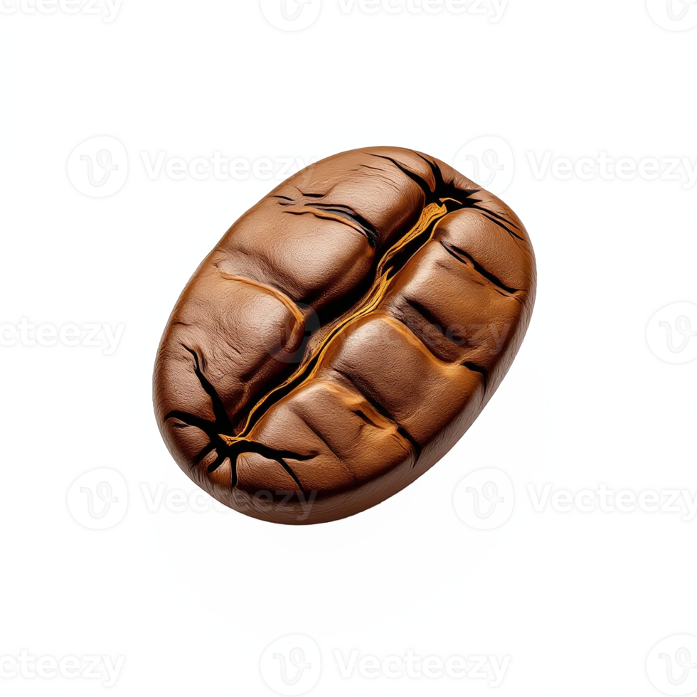 Realistic Choco Coffee Bean with Detailed Texture and Clipping Path png