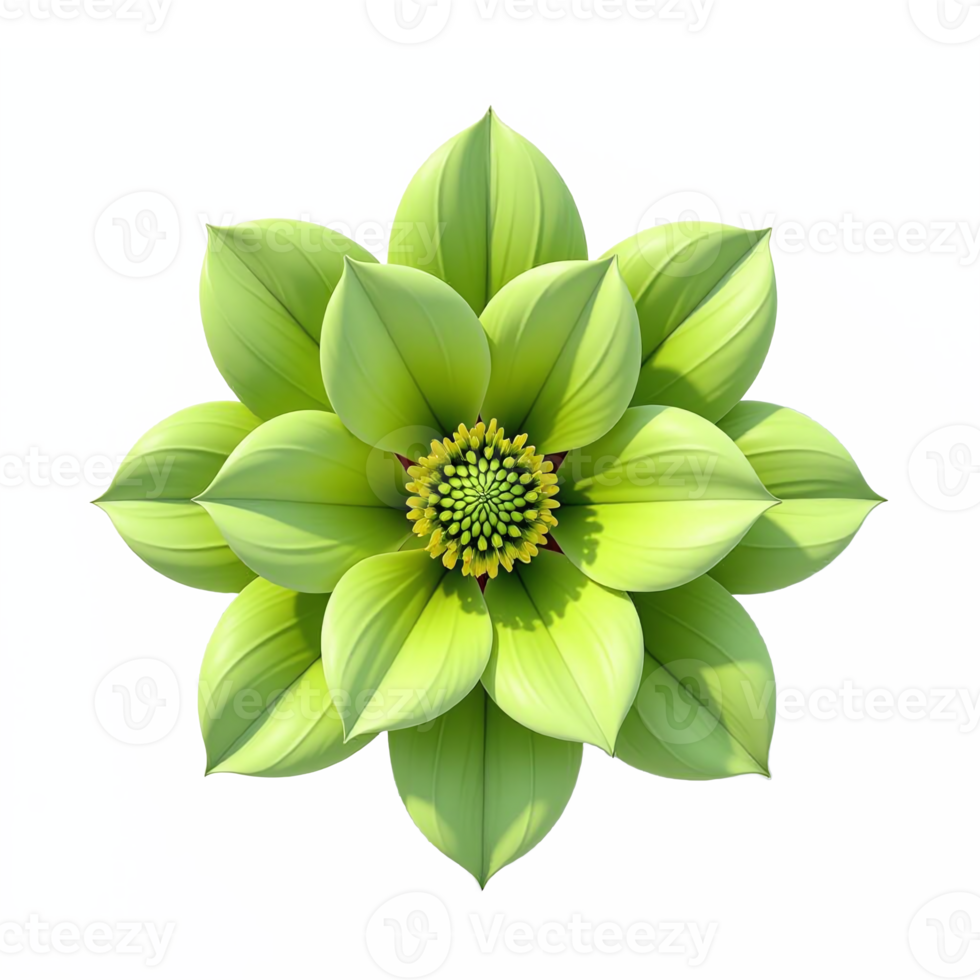 Vivid Green Flower with Multiple Petals and Detailed Center in Transparent Background png