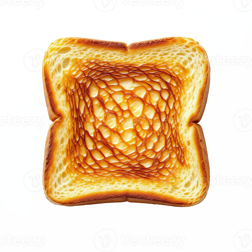 Burnt Toast Slice with Crispy Edges and Textured Surface on Transparent Background png