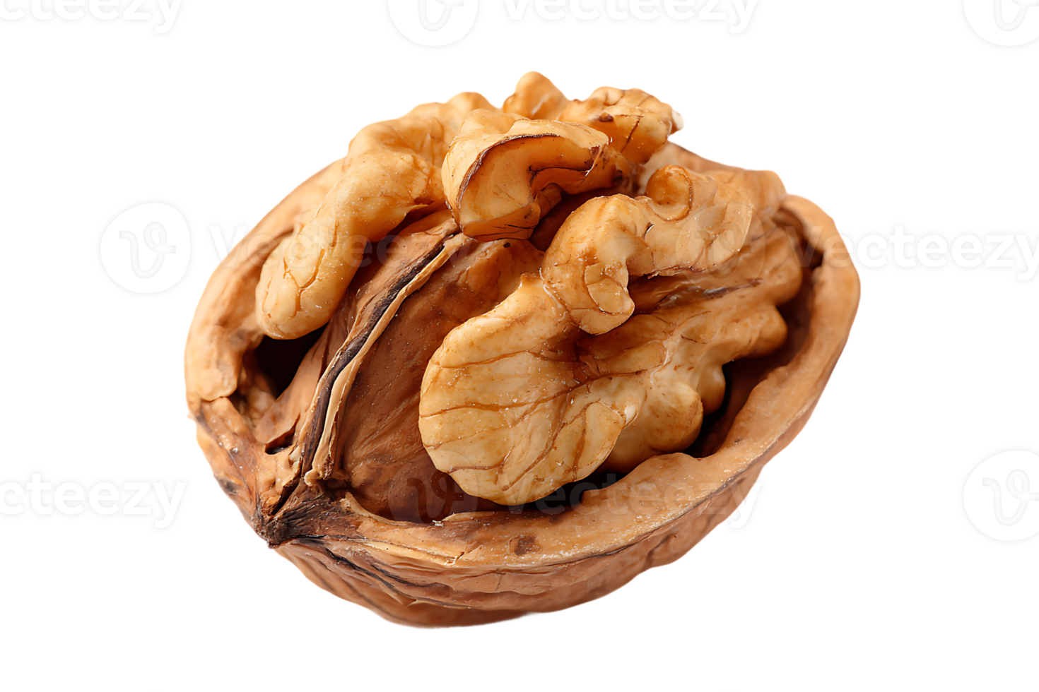 Walnut in Shell Cut Open Isolated Transparent Background Ready To Use png
