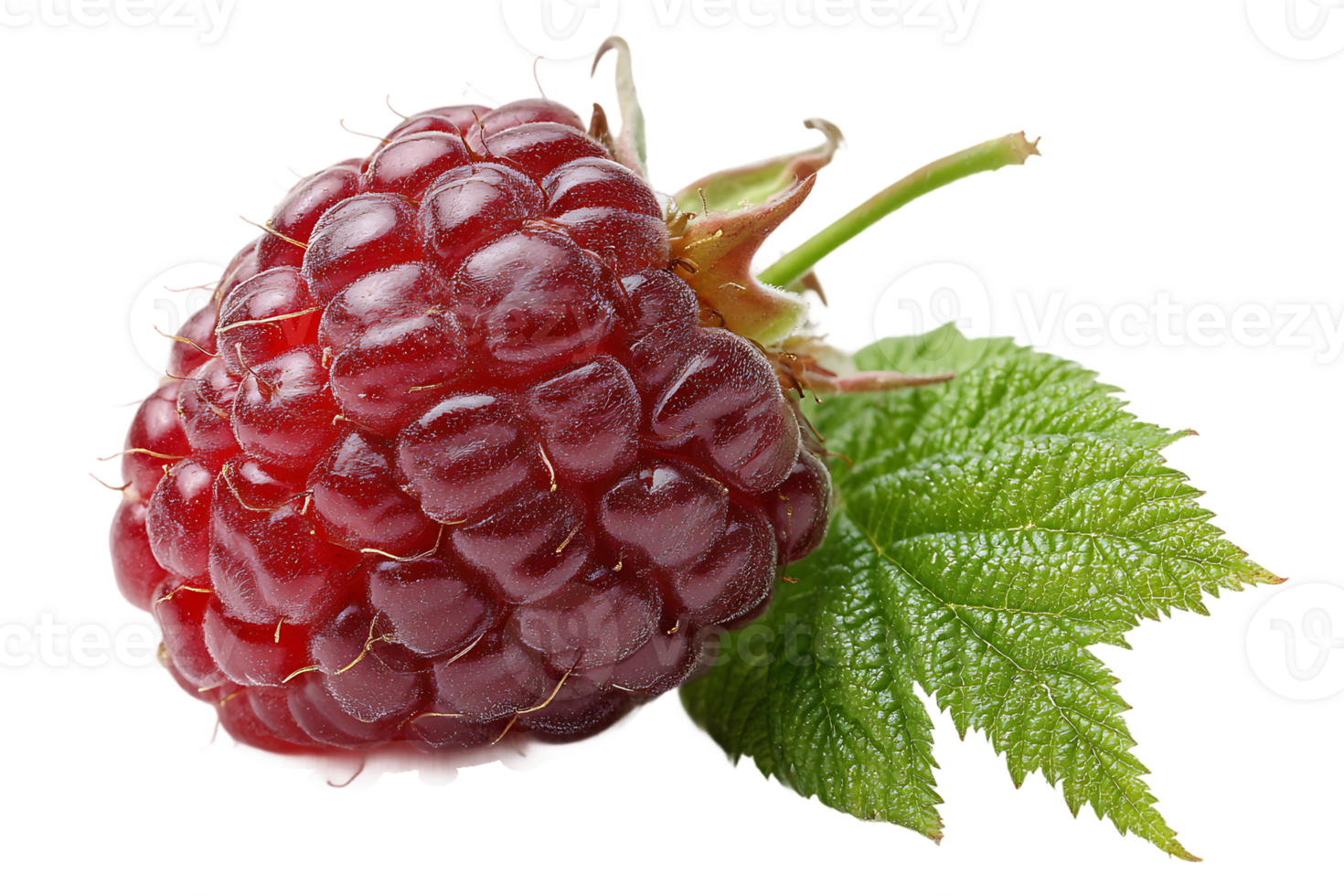 Isolated Raspberry Fruit with Green Leaf on Transparent Background for Food Project png