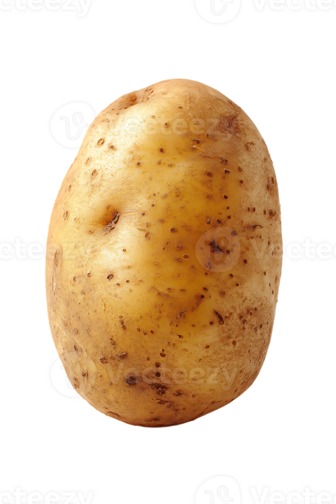 Isolated Fresh Organic Raw Potato Image On a Transparent Background for Design Purpose png