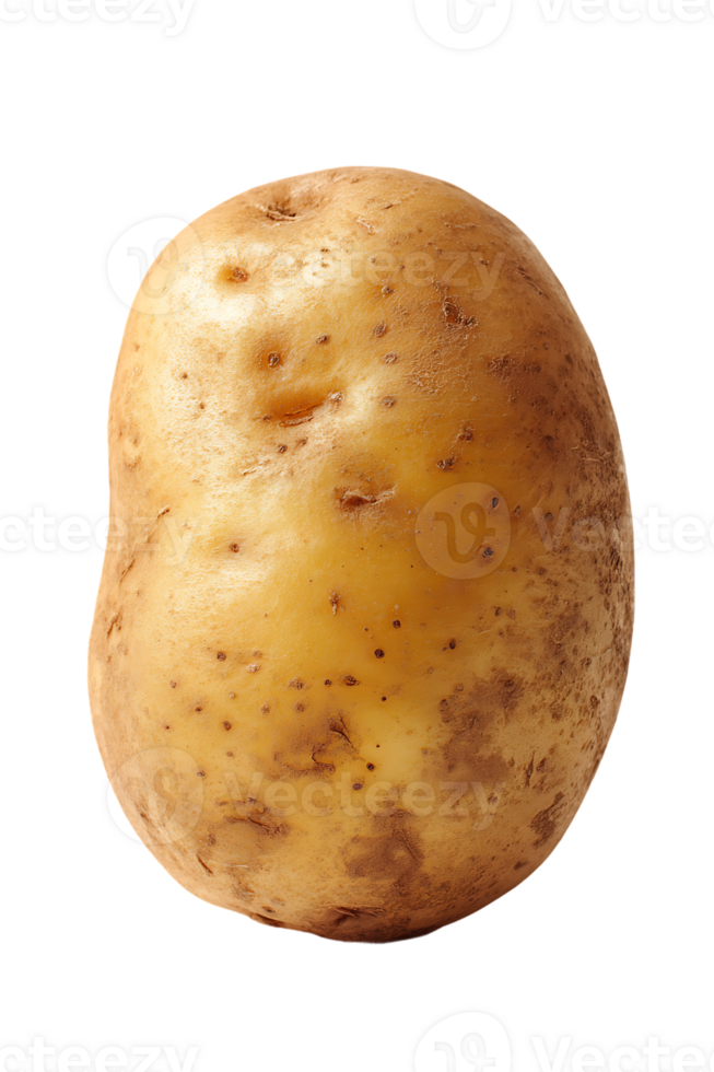 Isolated Single Raw Potato on Transparent Background An Underrated Healthy Vegetarian png