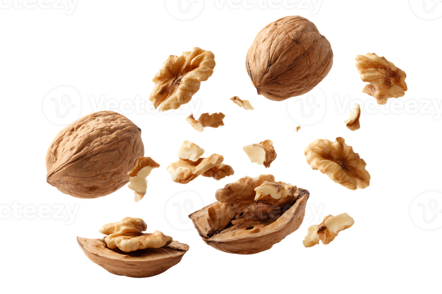 Isolated Brown Walnut Kernels and Whole Nuts on a Transparent Background Image png