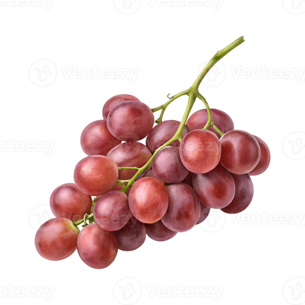 Fresh Red Grapes Bunch with Stem on Transparent Background png