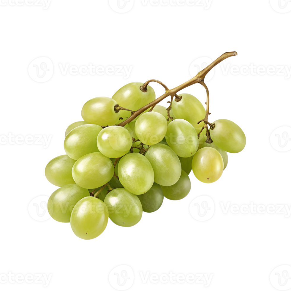 Fresh Green Grapes Bunch with Stem on Transparent Background png
