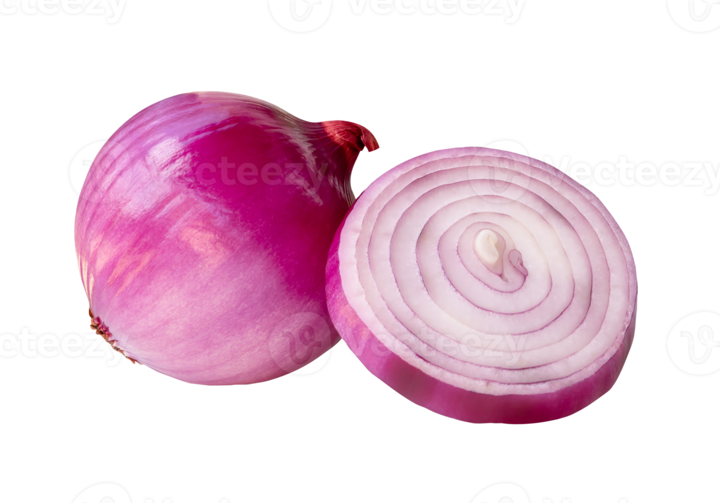 Peeled red or purple Spanish onion in one slice in circle shape and one bulb in stack isolated with clipping path in file format png