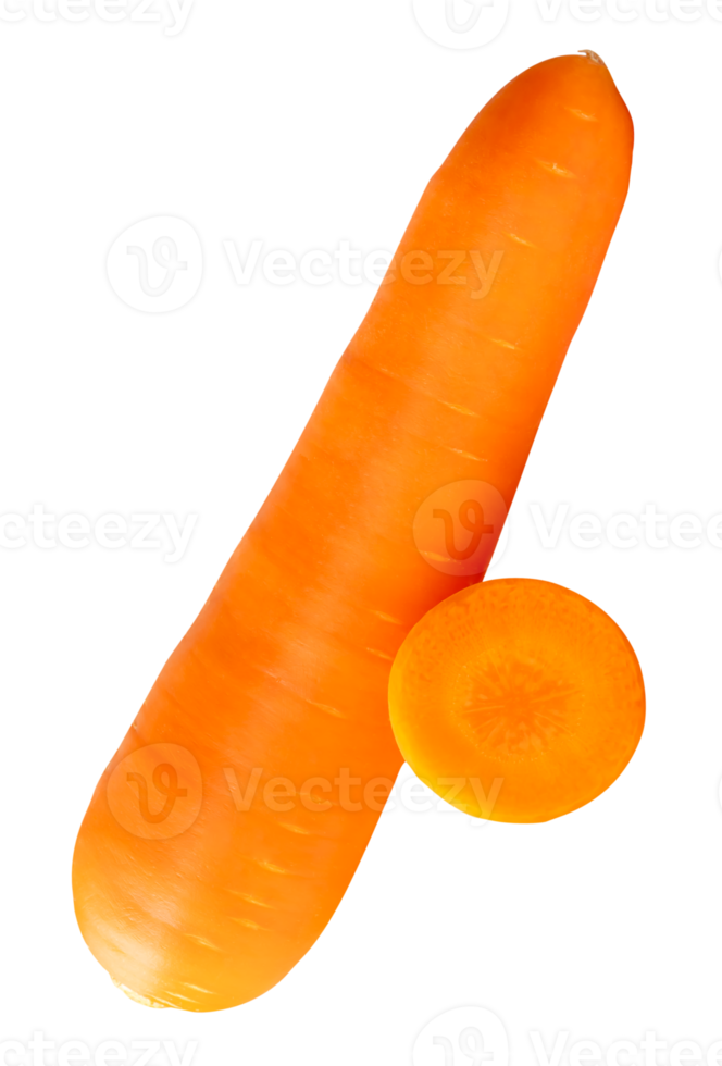 A fresh orange carrot root with slice in circle in stack isolated with clipping path in file format png
