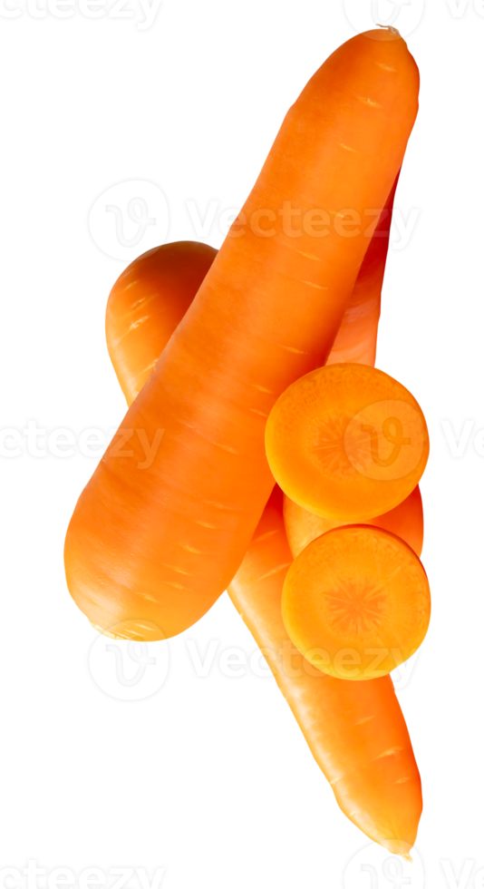 Orange carrot roots with slices in circles in stack isolated with clipping path in file format png