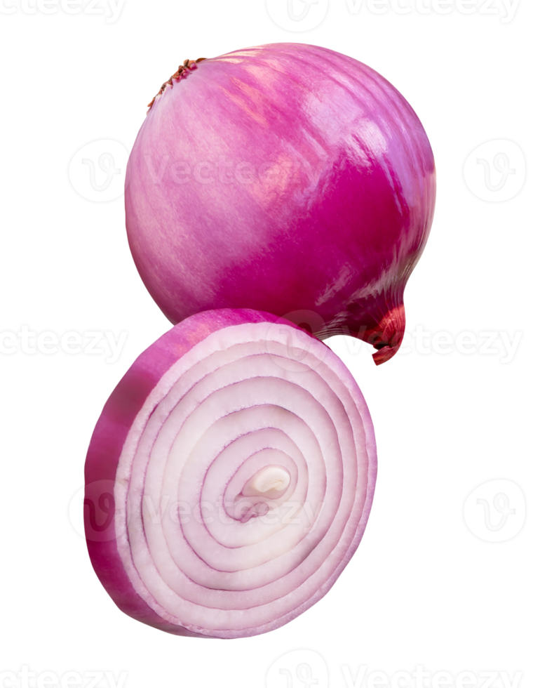 Fesh peeled red or purple Spanish onion in one slice in circle shape and one bulb in stack isolated with clipping path in file format png