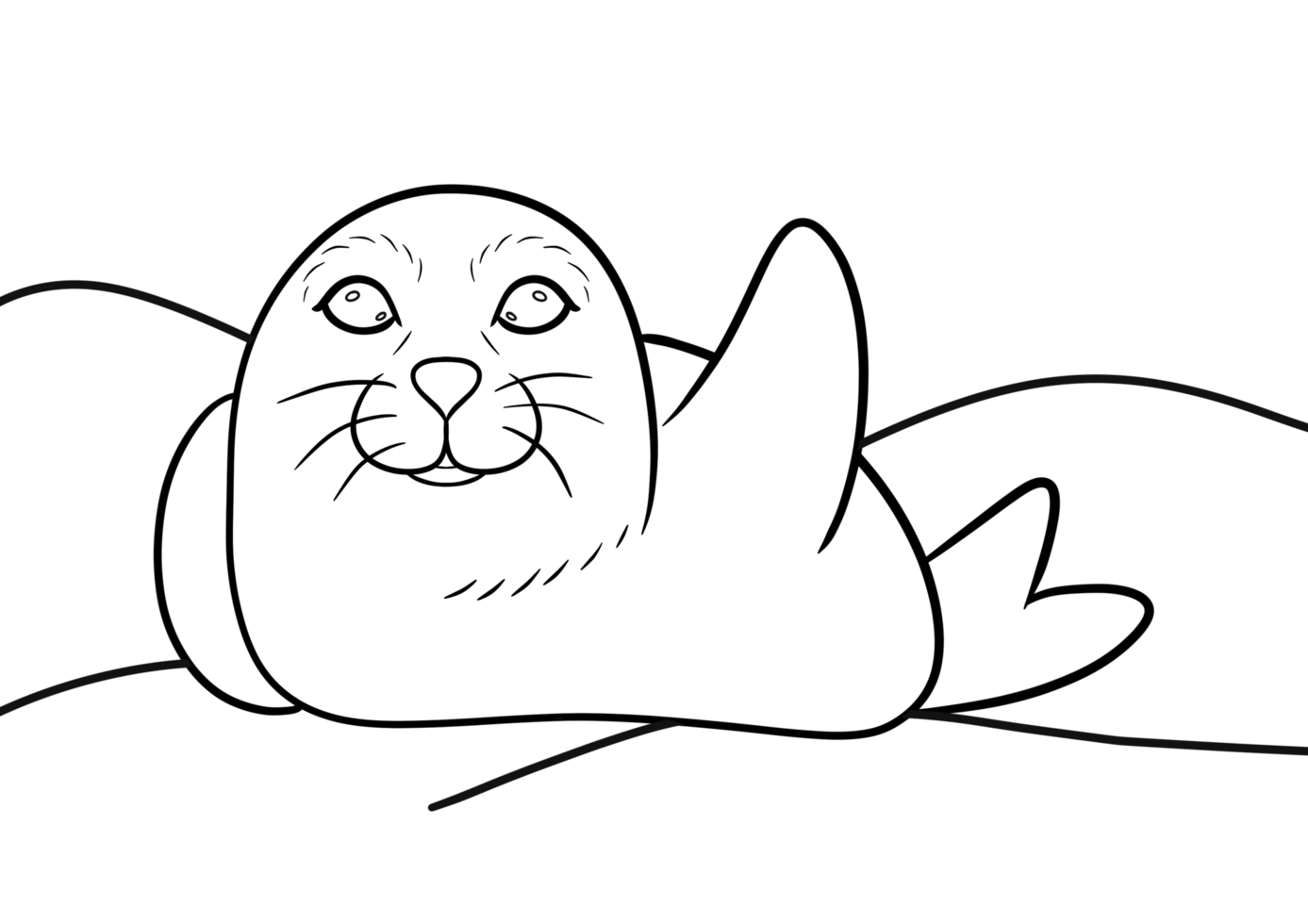 Seal Coloring Pages png