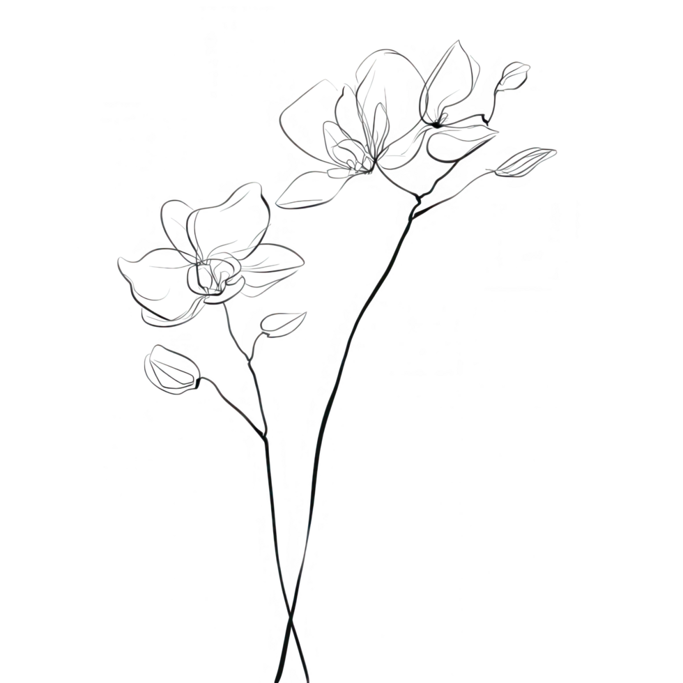 Elegant minimal orchid clipart featuring delicate floral elements, showcasing refined lines and sophisticated design that adds touch of nature beauty to any project png