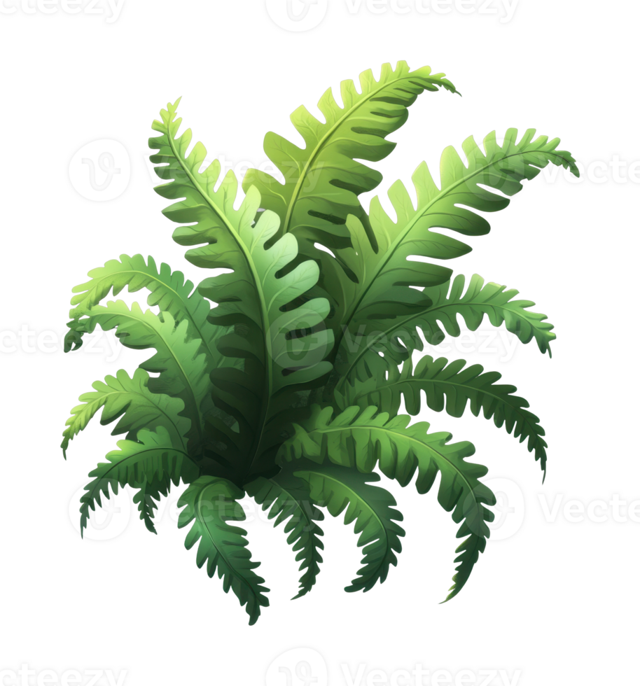 Lush green fern foliage with detailed leaves and natural elegance png