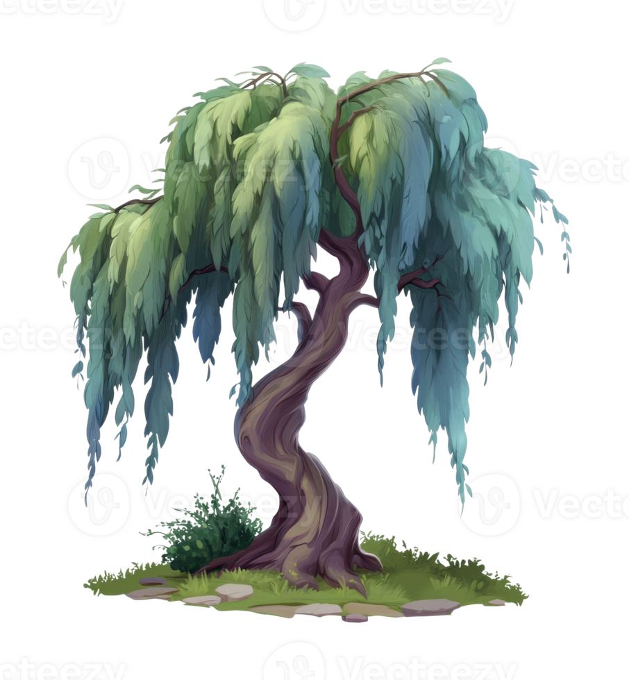 Elegant weeping willow tree with twisted trunk and luxurious foliage png